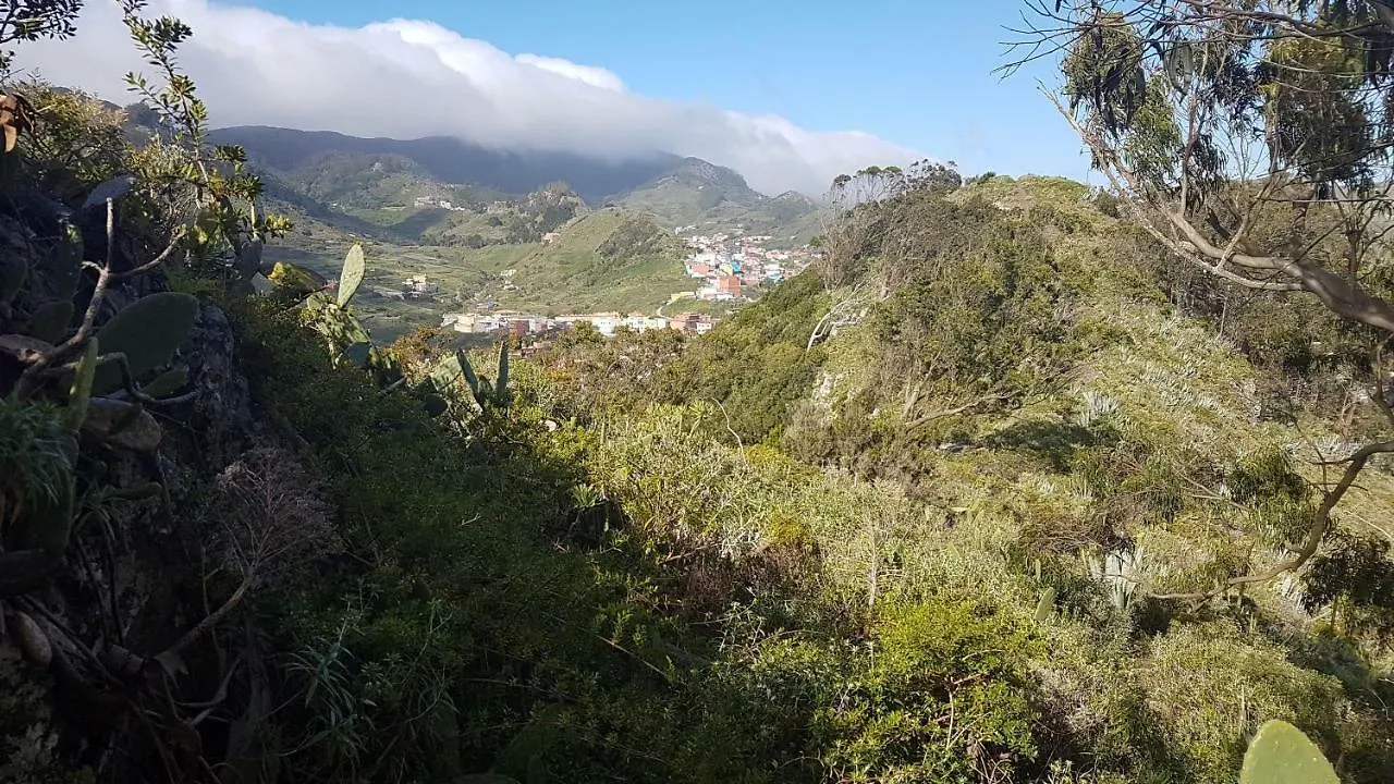 Апартаменты La Casita De Omar En El Corazon De Anaga Y La Laguna Лас-Мерседес Испания