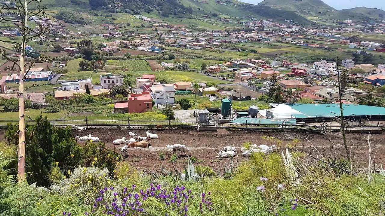 דירה Las Mercedes La Casita De Omar En El Corazon De Anaga Y La Laguna ספרד